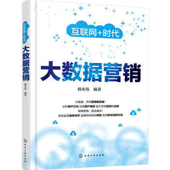 大數據營銷 數字時代的精準銷售與戰略布局